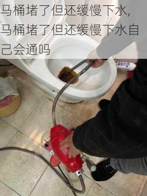 马桶堵了但还缓慢下水,马桶堵了但还缓慢下水自己会通吗