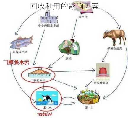 回收利用的影响因素