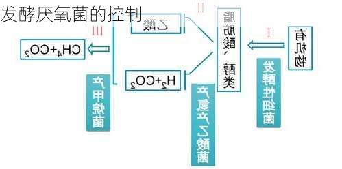 发酵厌氧菌的控制