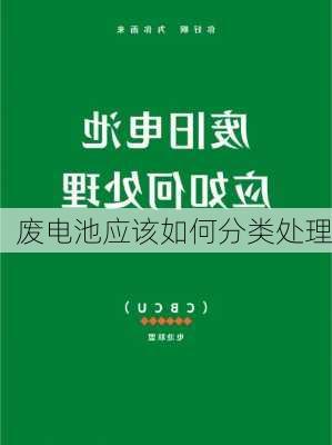 废电池应该如何分类处理