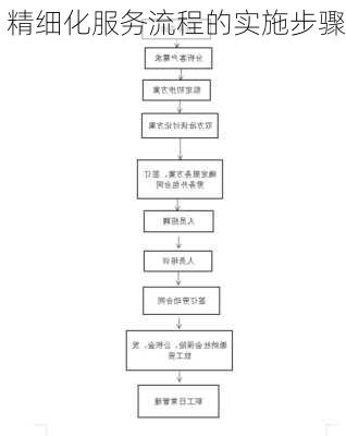 精细化服务流程的实施步骤