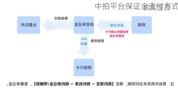 中拍平台保证金支付方式