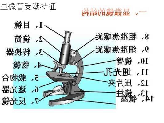 显像管受潮特征