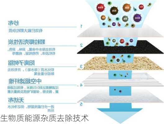 生物质能源杂质去除技术