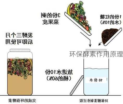 环保酵素作用原理