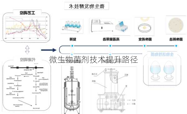 微生物菌剂技术提升路径