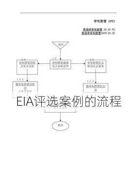 EIA评选案例的流程