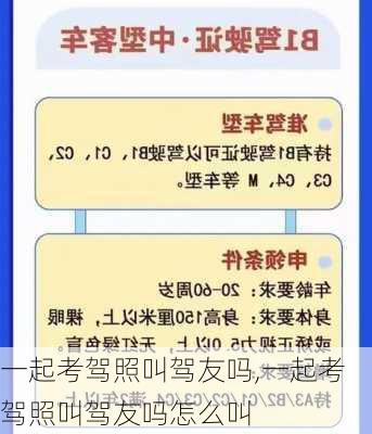 一起考驾照叫驾友吗,一起考驾照叫驾友吗怎么叫