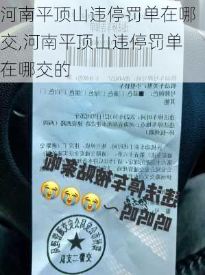 河南平顶山违停罚单在哪交,河南平顶山违停罚单在哪交的