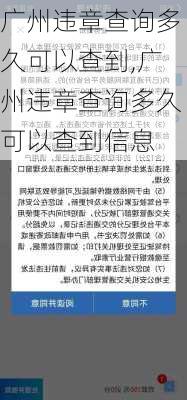 广州违章查询多久可以查到,广州违章查询多久可以查到信息