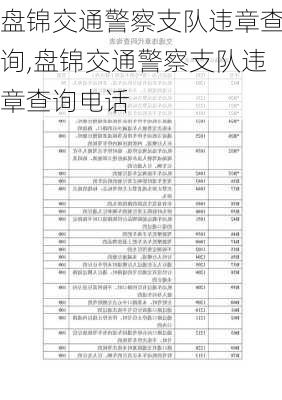 盘锦交通警察支队违章查询,盘锦交通警察支队违章查询电话