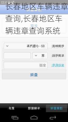 长春地区车辆违章查询,长春地区车辆违章查询系统