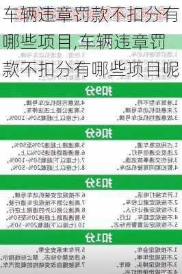 车辆违章罚款不扣分有哪些项目,车辆违章罚款不扣分有哪些项目呢