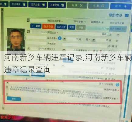 河南新乡车辆违章记录,河南新乡车辆违章记录查询