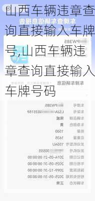 山西车辆违章查询直接输入车牌号,山西车辆违章查询直接输入车牌号码