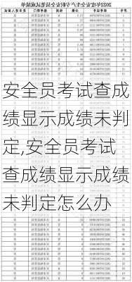 安全员考试查成绩显示成绩未判定,安全员考试查成绩显示成绩未判定怎么办