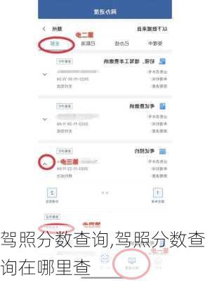 驾照分数查询,驾照分数查询在哪里查