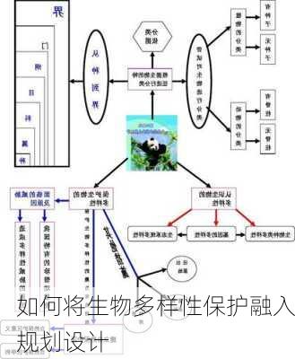 如何将生物多样性保护融入规划设计