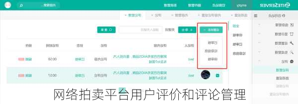 网络拍卖平台用户评价和评论管理
